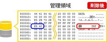 管理領域部分（削除後）