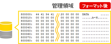 管理領域部分（フォーマット後）