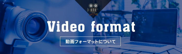 動画フォーマットについて