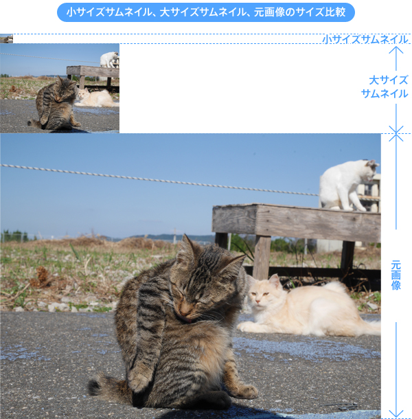 小サイズサムネイル、大サイズサムネイル、元画像のサイズ比較