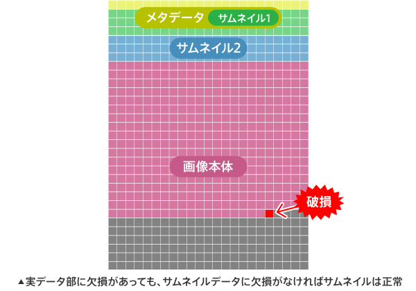 実データ部に欠損があっても、サムネイルデータに欠損がなければサムネイルは正常