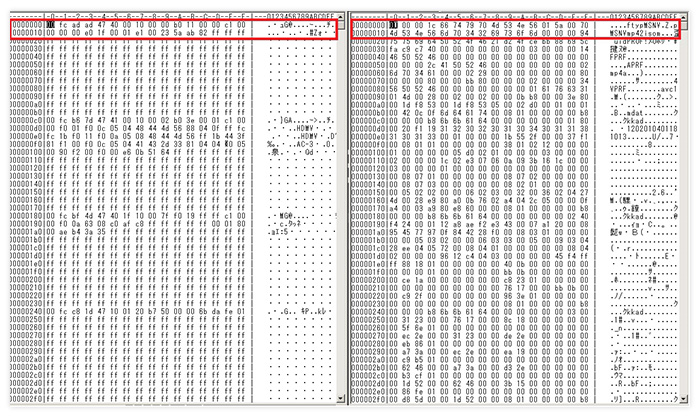 MP4やMTSの定型書式の情報の例