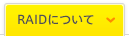 RAIDについて