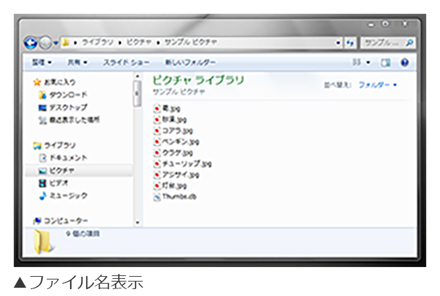 Windowsの場合（ファイル名表示）