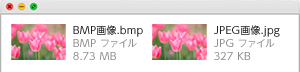 ファイルサイズの大きいBMP画像と圧縮されファイルサイズの小さいJPEG画像