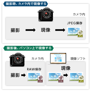 JPEG保存とRAW保存の違いと現像との関係性