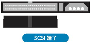 SCSI端子