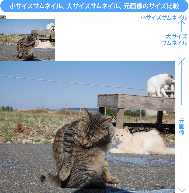 小サイズサムネイル、大サイズサムネイル、元画像のサイズ比較