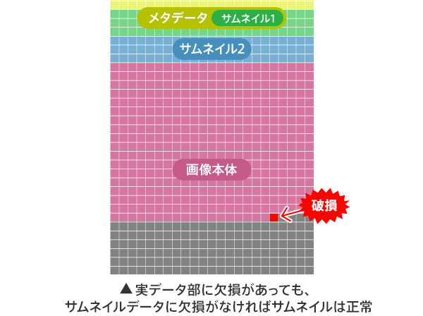 実データ部に欠損があっても、サムネイルデータに欠損がなければサムネイルは正常