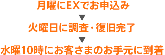 →金曜にEX6でお申込み→土曜日に調査・復旧完了→日曜10時にお客さまのお手元に到着